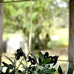 Casa Cal Da Rosins Σπίτι διακοπών