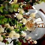 Σπίτι διακοπών Casa Cal Da Rosins Muxia