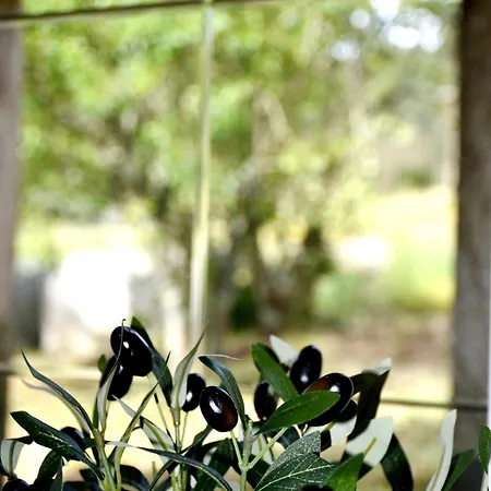 Casa Cal Da Rosins Holiday home