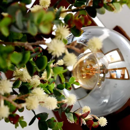 Casa vacanze Casa Cal Da Rosins Muxia