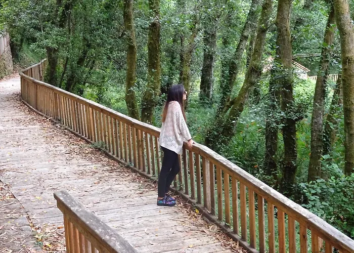 Casa Cal Da Rosins 펜션