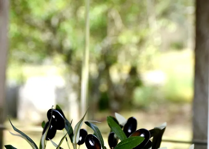 Casa Cal Da Rosins 펜션