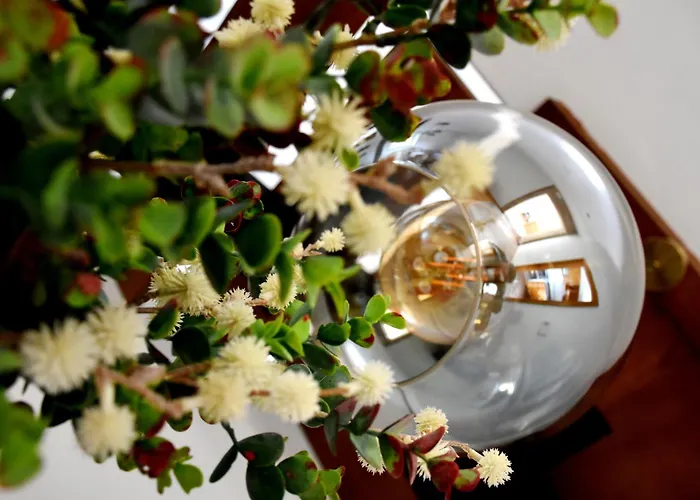 펜션 Casa Cal Da Rosins 무히아