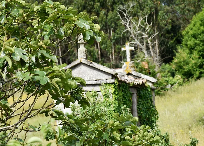 Дом отдыха Casa Cal Da Rosins Мухия